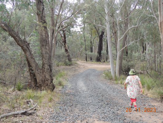 Dirt Road to Greenbah